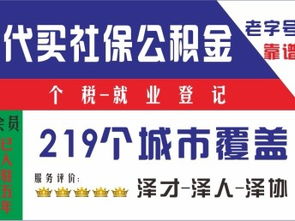 新成立公司在深圳与广州的社保代理及外汇咨询指南